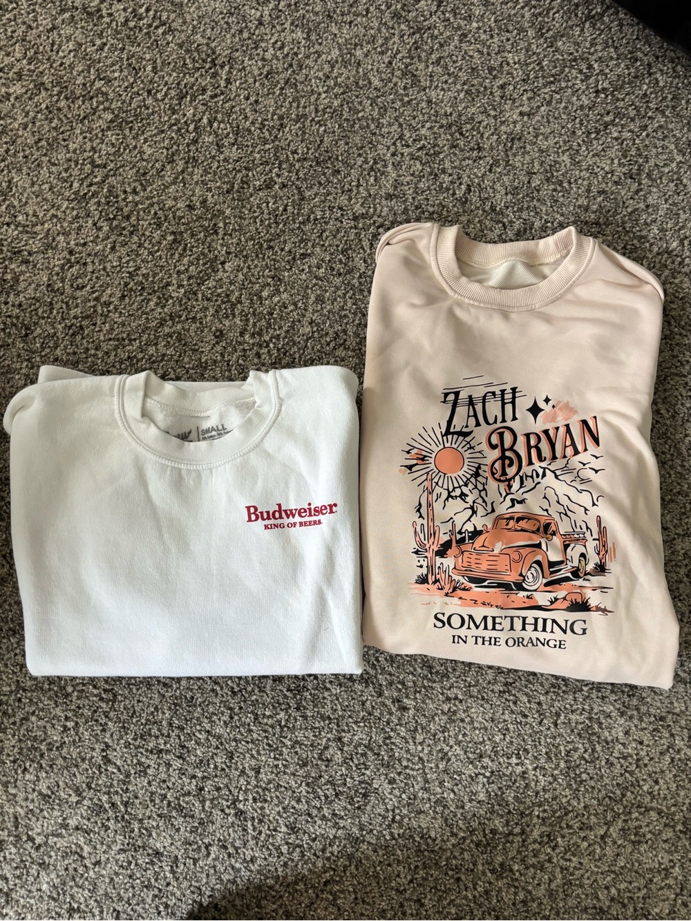 2 Pack Graphic Sweatshirt - Something in the Orange and Budweiser